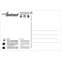 Eco-Postcard da regalare per San Valentino - Viola del pensiero