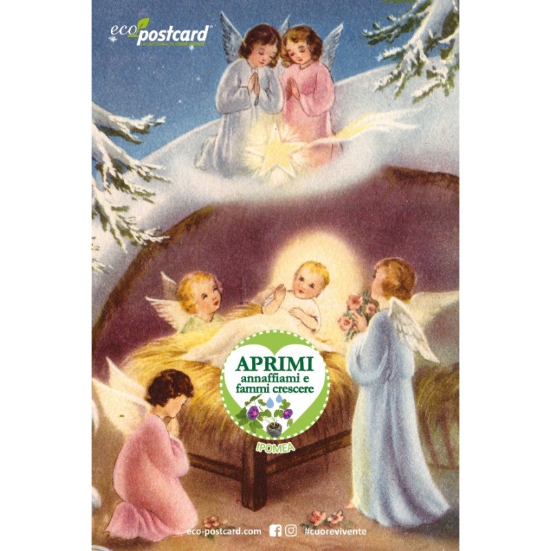 Eco-Postcard Natalizia Angioletti - ipomea