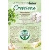 Eco-Postcard con ricetta gnocchetti di crescione