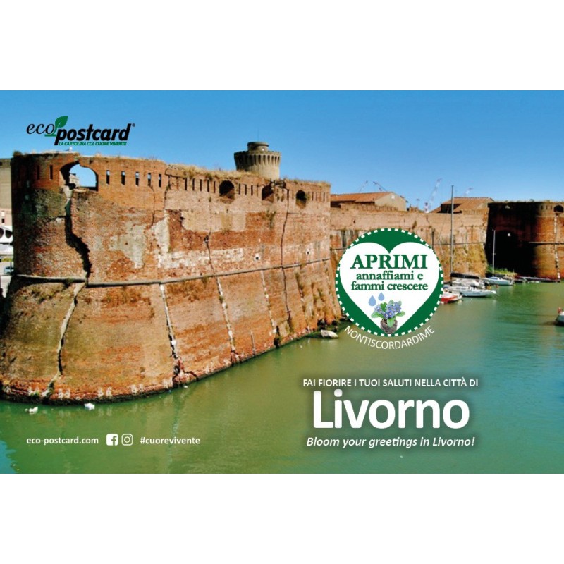 Eco-Postcard cartolina souvenir Fortezza Vecchia Livorno - Ipomea