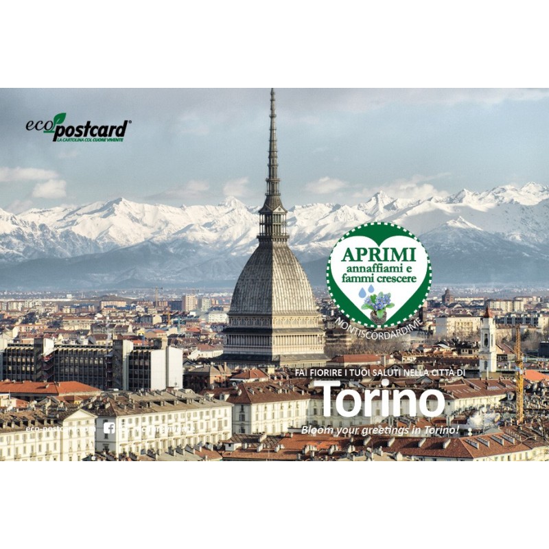 Eco-Postcard cartolina souvenir Mole Antonelliana 