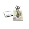 Eco-Postcard pianta officinale - Lavanda