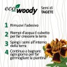 Eco-Woody cubo di legno con semi di Tagete