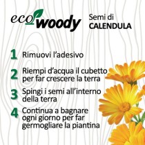 Eco-Woody cubo di legno con semi di Calendula