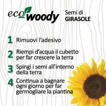 Eco-Woody cubo di legno con semi di Girasole