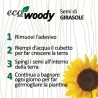 Eco-Woody cubo di legno con semi di Girasole