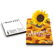 Eco-Postcard cartolina Auguri Viventi con pianta di Girasole