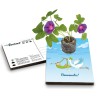 Eco-Postcard Cartolina Ecologica Auguri Nascita bambino - Morning glory