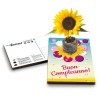 Eco-Postcard cartolina Auguri Viventi con pianta di Girasole