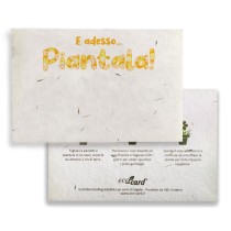 E ADESSO PIANTALA! cartolina biodegradabile piantabile al Tagete Eco-Card