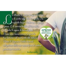 Eco-Postcard personalizzata