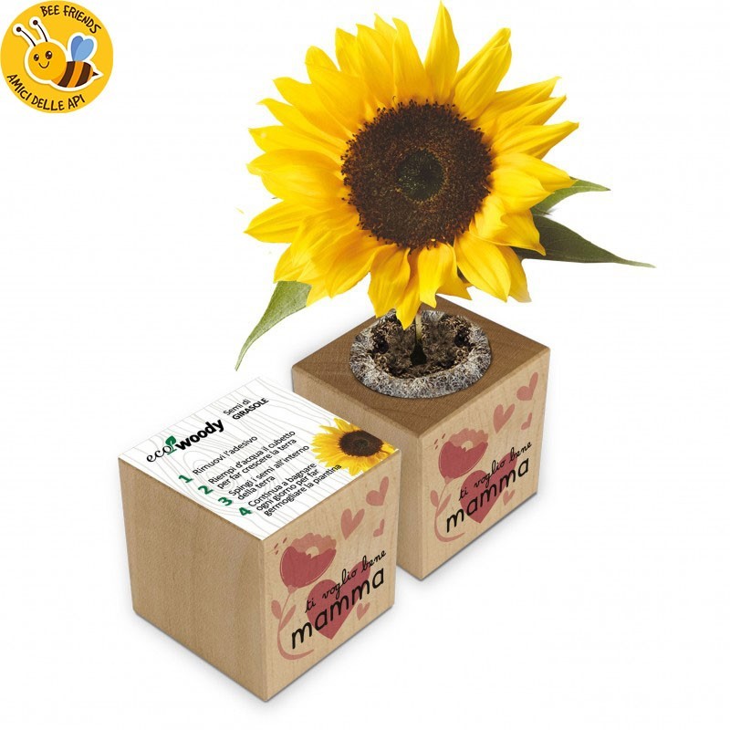 Eco-Woody cubo di legno con semi di Girasole
