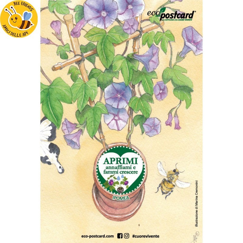 Eco-Postcard cartolina illustrazione ad acquerello - Ipomea