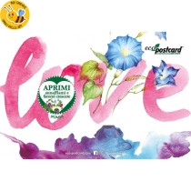 Eco-Postcard cartolina auguri San Valentino