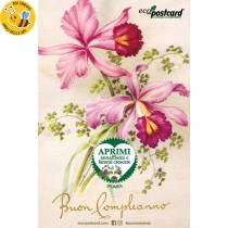 Eco-Postcard cartolina di auguri vintage - Ipomea