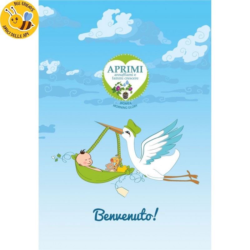 Eco-Postcard Cartolina Ecologica Auguri Nascita bambino - Morning glory