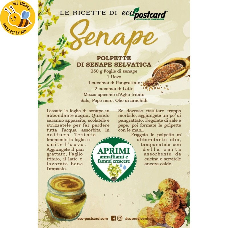 Eco-Postcard con ricetta polpette di senape selvatica