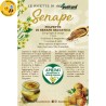 Eco-Postcard con ricetta polpette di senape selvatica