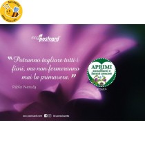 Eco-Postcard cartolina citazione Pablo Neruda