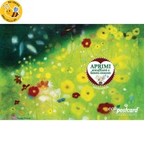 Eco-Postcard fiori estivi Tiziana Leobruni