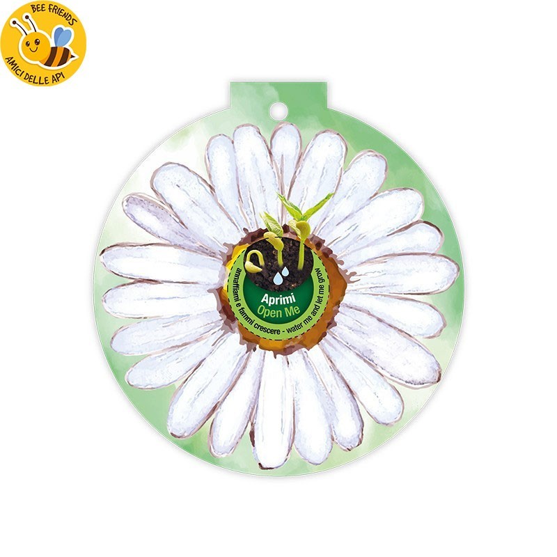 Eco-Decors Pallina ecologica Primavera margherita – Margherita