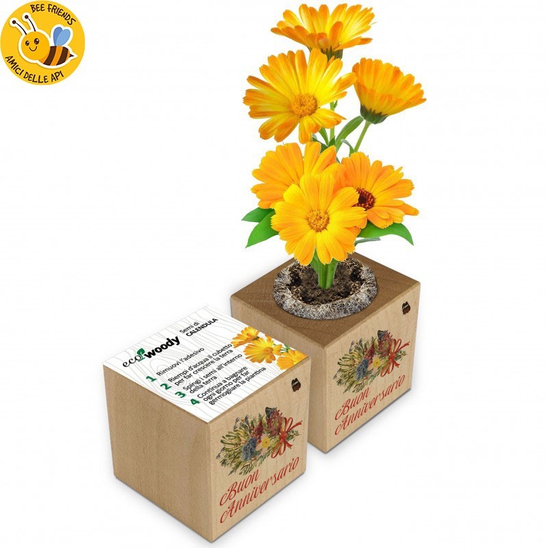 Eco-Woody cubo di legno con semi di Calendula