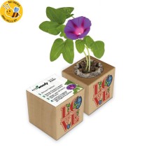 Eco-Woody LOVE cubo di legno con semi di Ipomea
