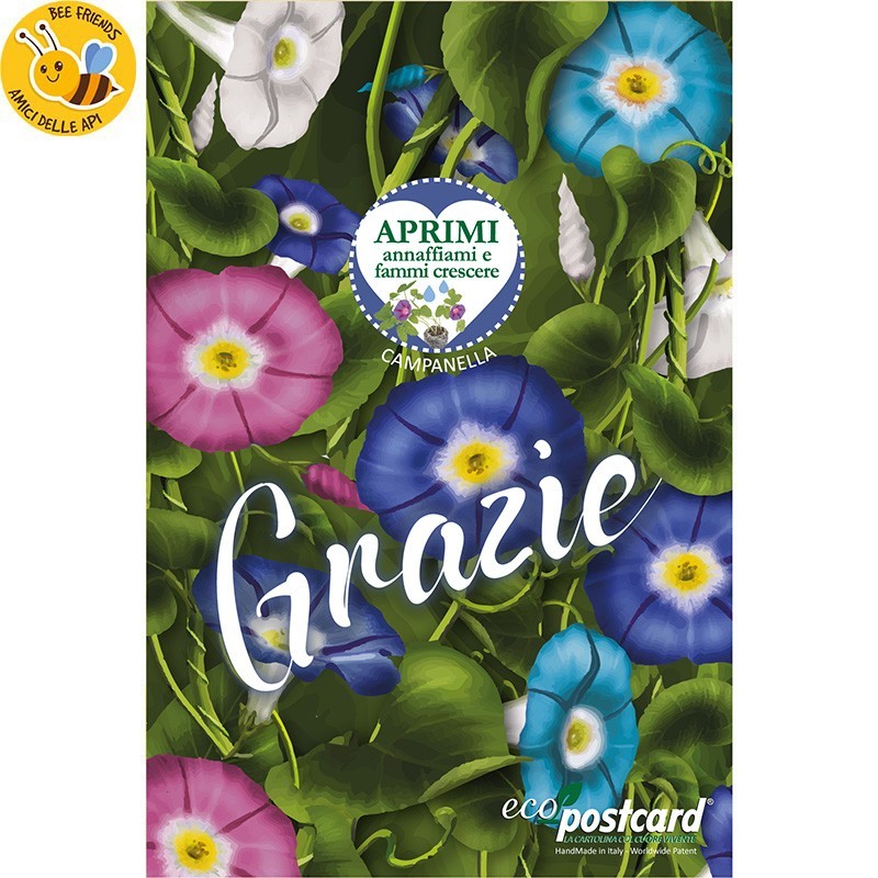 Eco-Postcard - Biglietto Cartolina di Ringraziamento Ecologica con pianta di Morning Glory