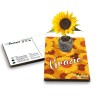 Eco-Postcard - Biglietto Cartolina di Ringraziamento Ecologica con pianta di Morning Glory