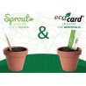 SPROUT + ECO-CARD