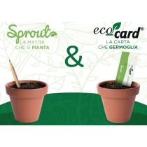 SPROUT + ECO-CARD