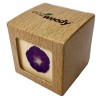Eco-Woody cubo di legno con semi di Ipomea