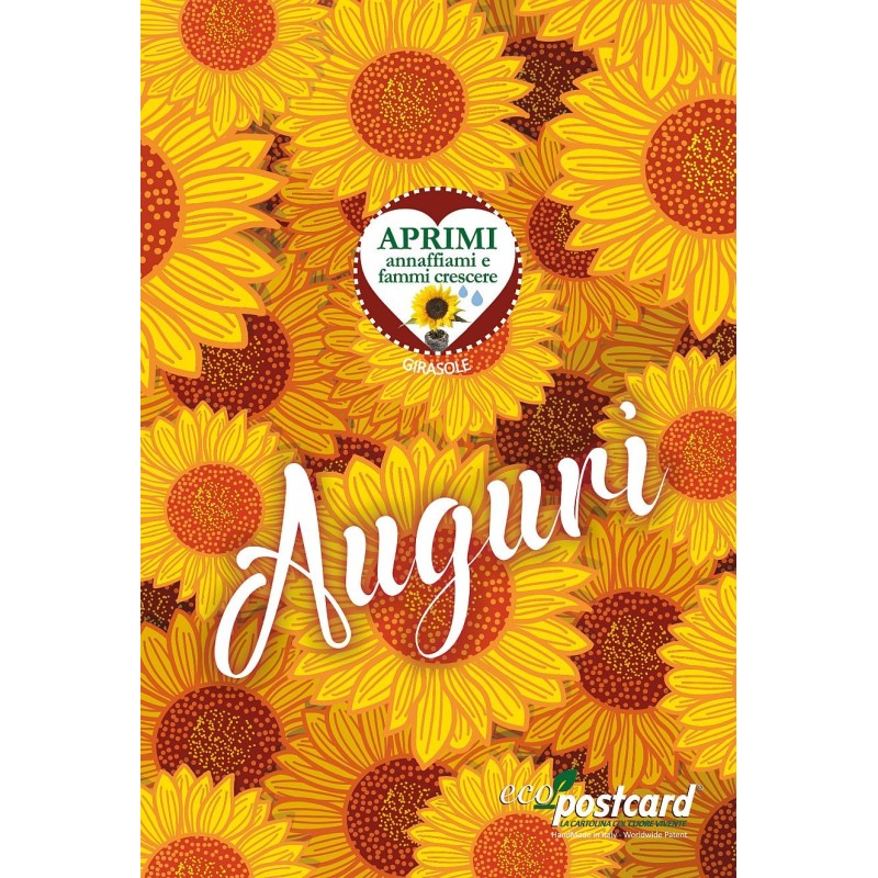 Eco-Postcard cartolina Auguri Viventi con pianta di Girasole