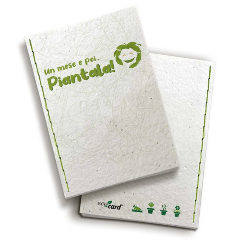 ECO-CARD segnalibro che germoglia piantabile C'E UN LIBRO(5,5x21 cm)