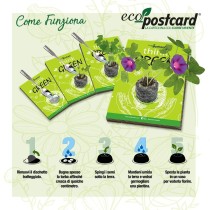 Cartolina Arcobaleno con bandiera PACE PER UCRAINA e semi di Chornobryvtsi