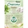 Eco-Postcard con ricetta gnocchetti di crescione