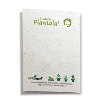 Biglietto Augurale carta piantabile con semi LAVANDA