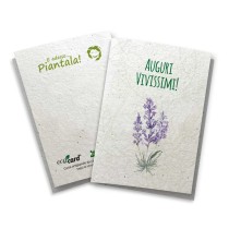 Biglietto Augurale carta piantabile con semi LAVANDA