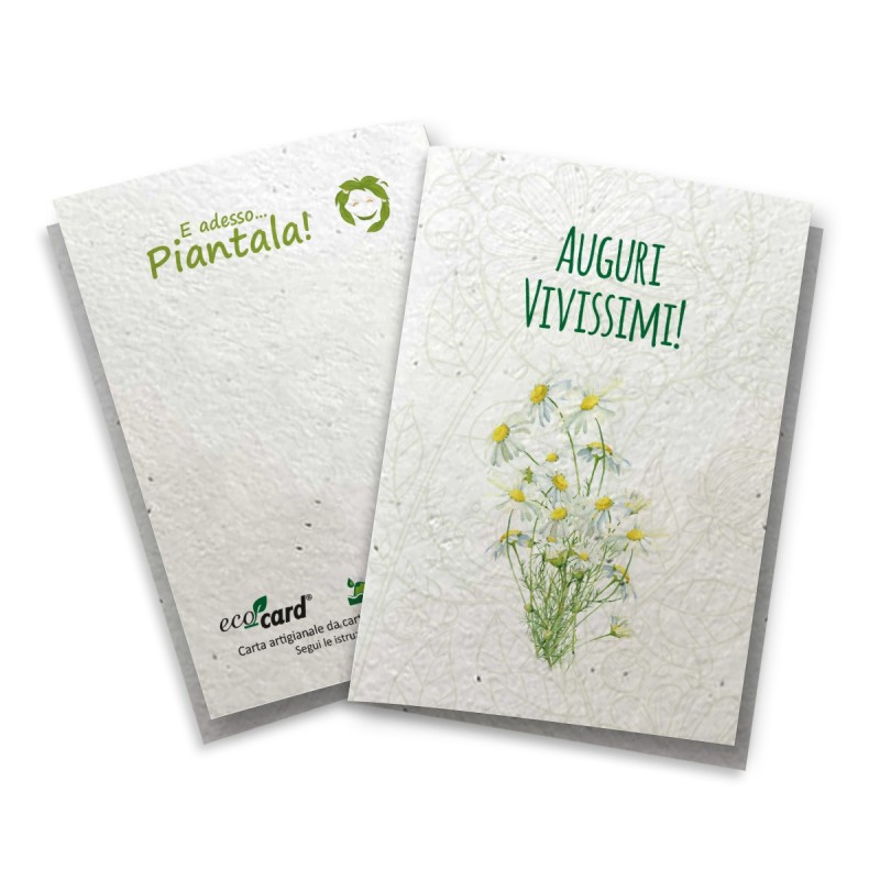 ECOCARD Biglietto AUGURI VIVISSIMI in carta piantabile con semi MARGHERITA