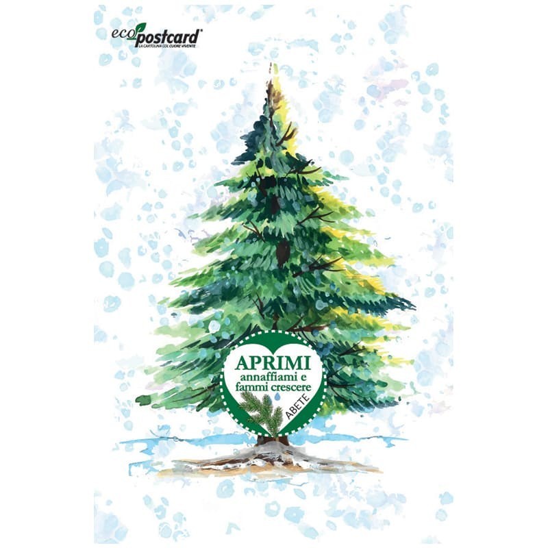 Eco-Postcard cartolina natalizia con pianta di Abete