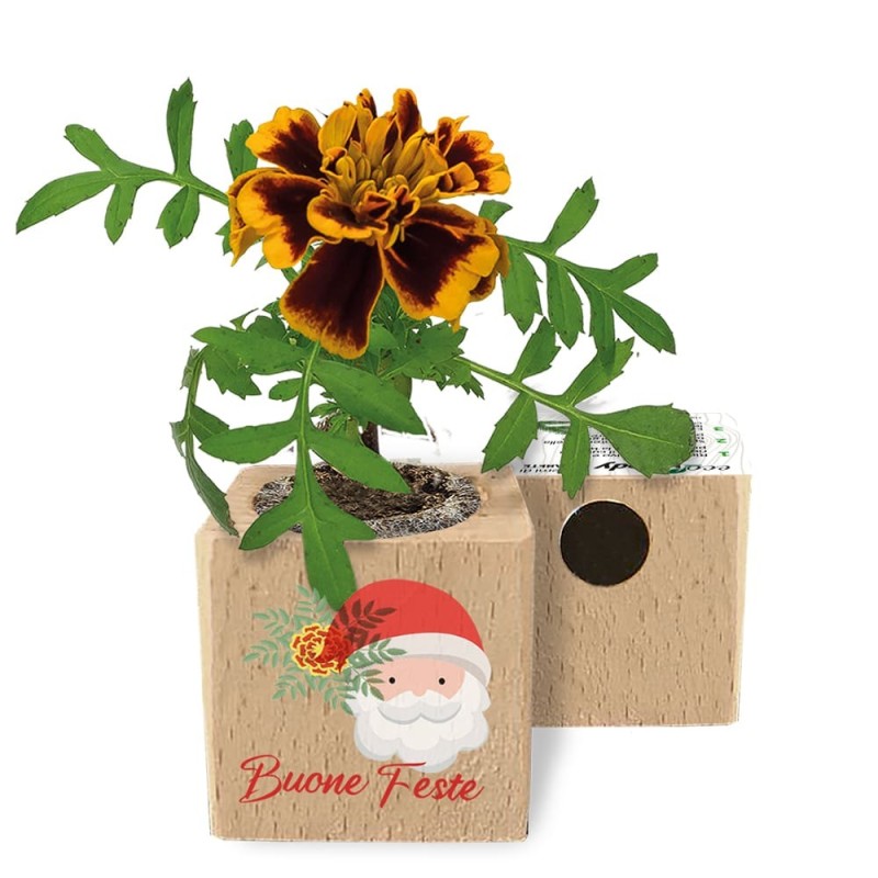 Eco-Woody Natalizio - Cubo di legno 100% ecologico con semi di Tagete