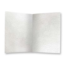 ECOCARD Biglietto Augurale COMPLEANNO in carta piantabile con semi MARGHERITA