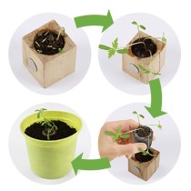 Eco-Woody Natalizio - Cubo di legno 100% ecologico con semi di Tagete