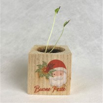 Eco-Woody Natalizio - Cubo di legno 100% ecologico con semi di Tagete