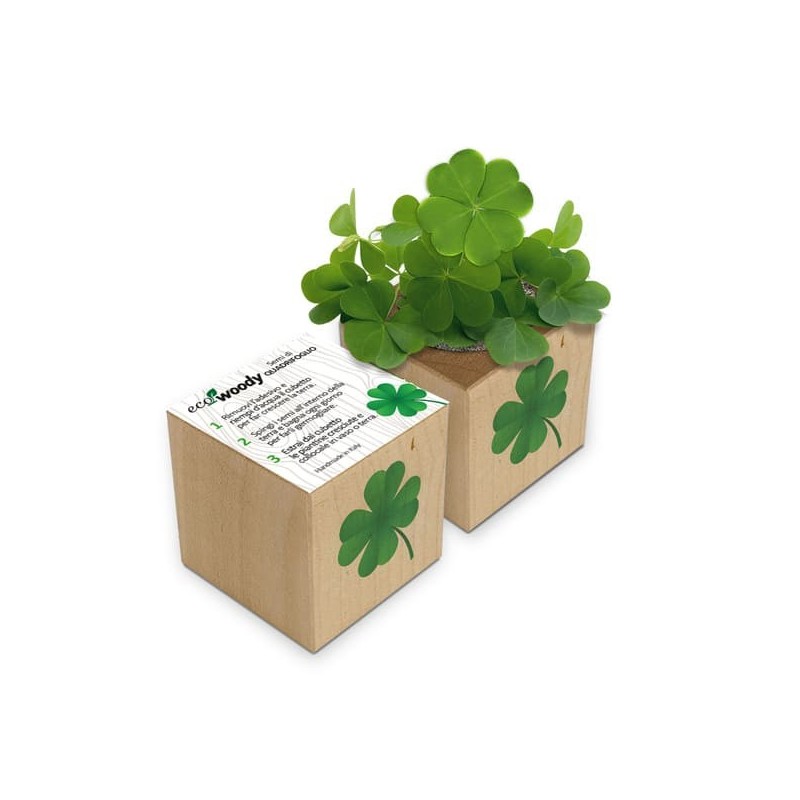 Eco-Woody - Cubo ecologico con semi di Quadrifoglio 