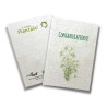 ECO-CARD Biglietto Congratulazioni in carta piantabile con MARGHERITA