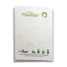 ECO-CARD Biglietto Congratulazioni in carta piantabile con MARGHERITA