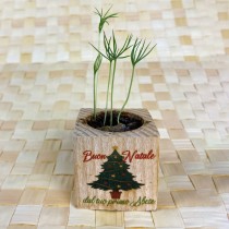 Eco-Woody Natalizio - Cubo di legno 100% ecologico con semi di Tagete