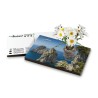 Eco-Postcard cartolina souvenir Capri