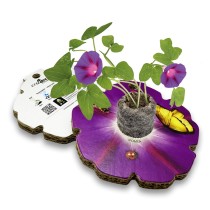 Eco-Decors Sagomata Ipomea - Ipomea